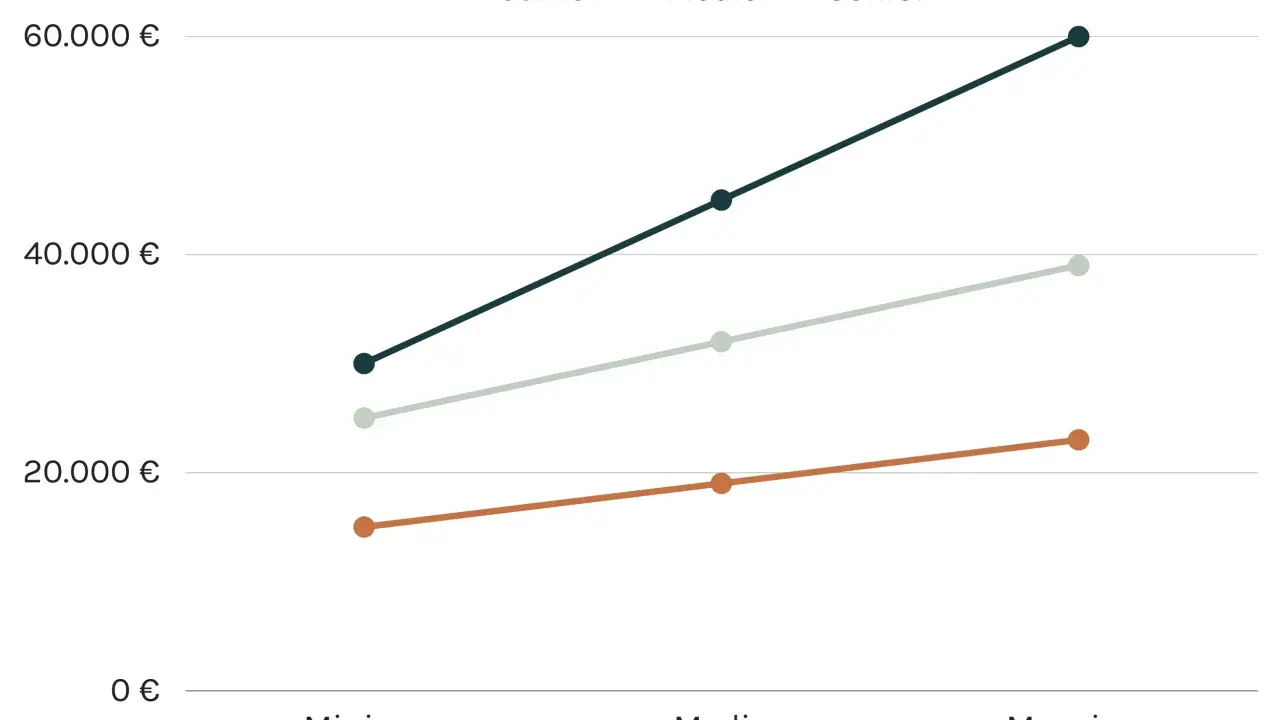 Grafico mostra l'andamento dello stipendio di un web designer: junior, medio e senior.