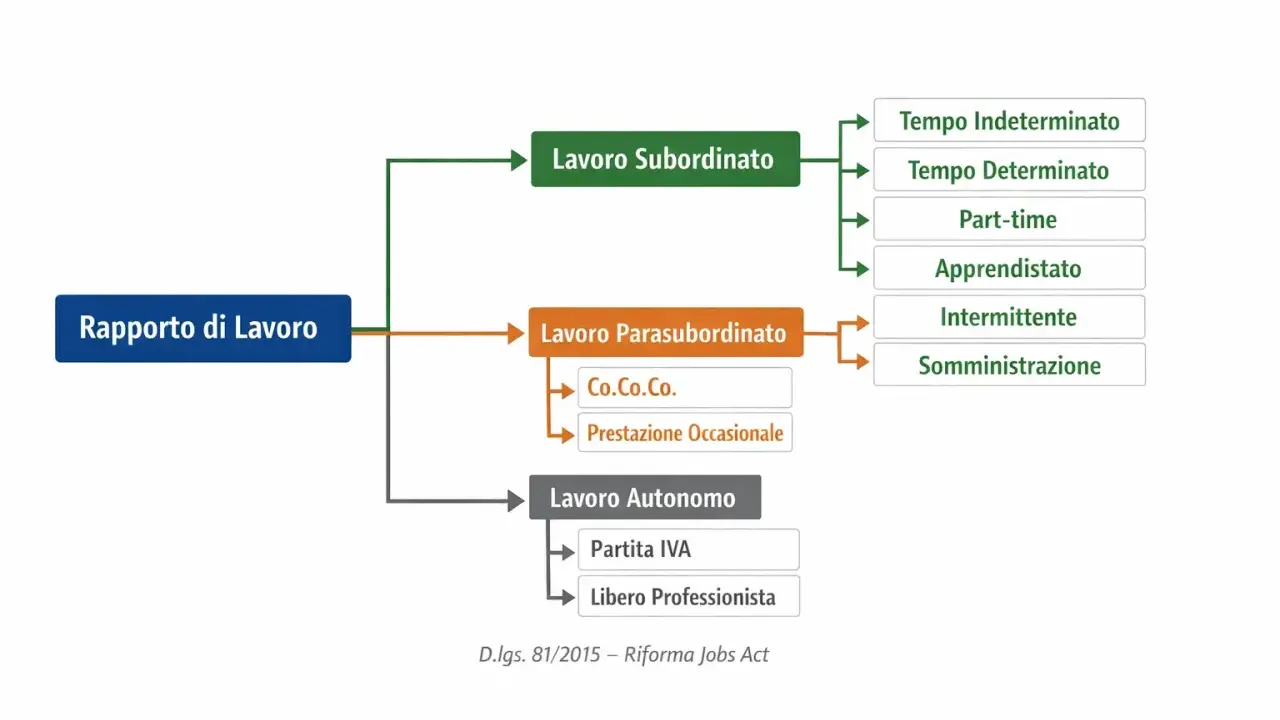 Schema dei rapporti di lavoro: subordinato (con apprendistato), parasubordinato e autonomo.