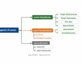 Schema dei rapporti di lavoro: subordinato (con apprendistato), parasubordinato e autonomo.