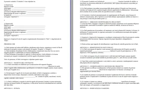 Contratto tra imprese con partita IVA per un progetto comune. Le parti definiscono oggetto, durata, costi e gestione.
