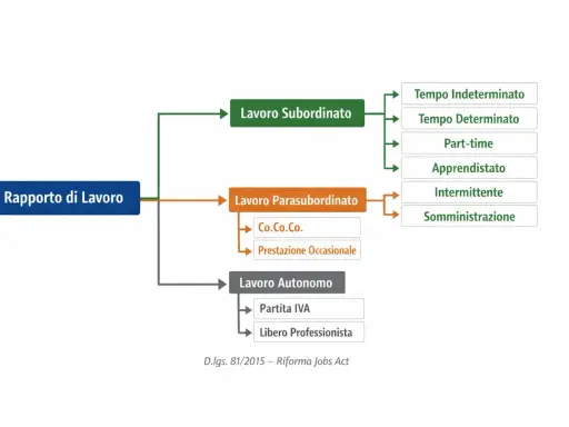 Schema dei rapporti di lavoro: subordinato (con apprendistato), parasubordinato e autonomo.